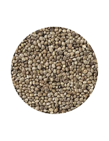 Semilla de cañamón francés DISFA 3.5 KG